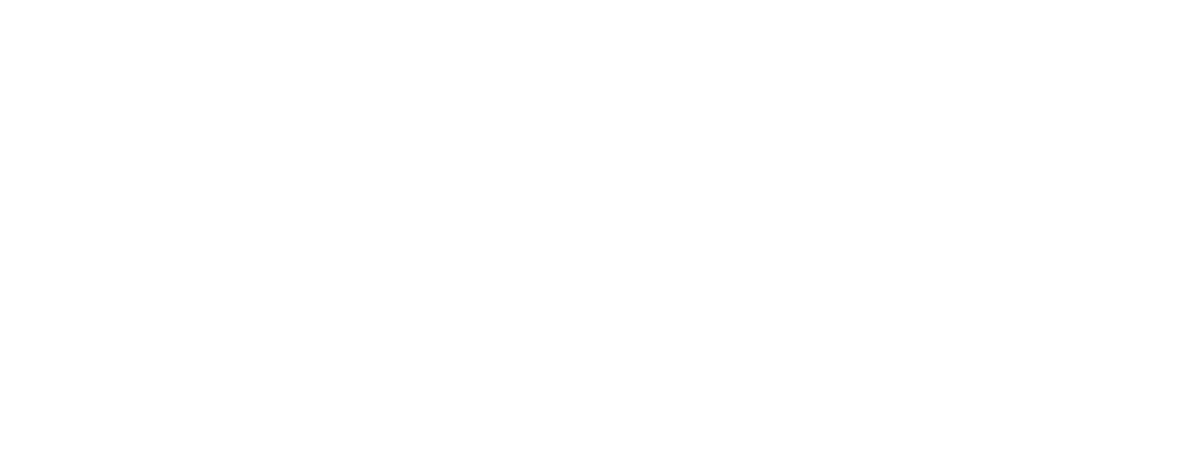Kentucky Colonels logotype white