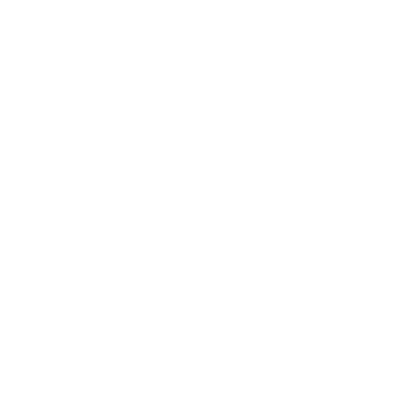 Certificate for the 317 Charted Colonels