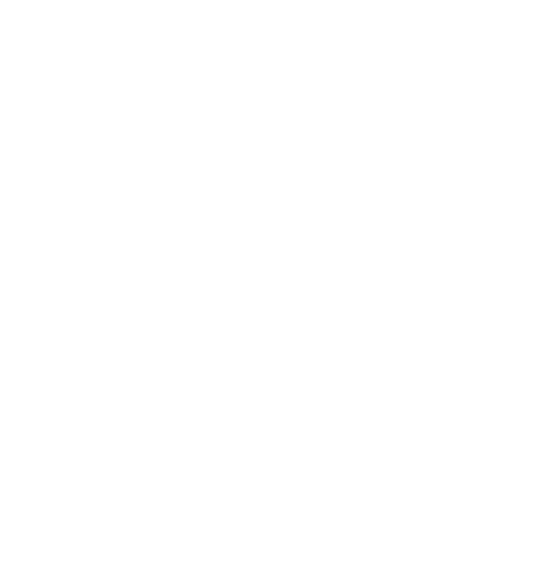 Honorable Order of the Kentucky Colonels Chattanooga Chapter certificate