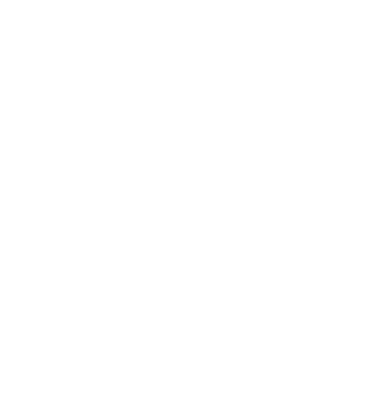The Honorable Order of the Kentucky Colonels Robertson County Chapter certificate