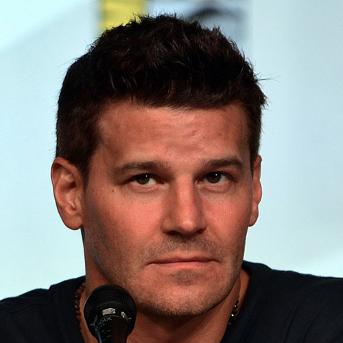 David Boreanaz Famous Kentucky Colonel