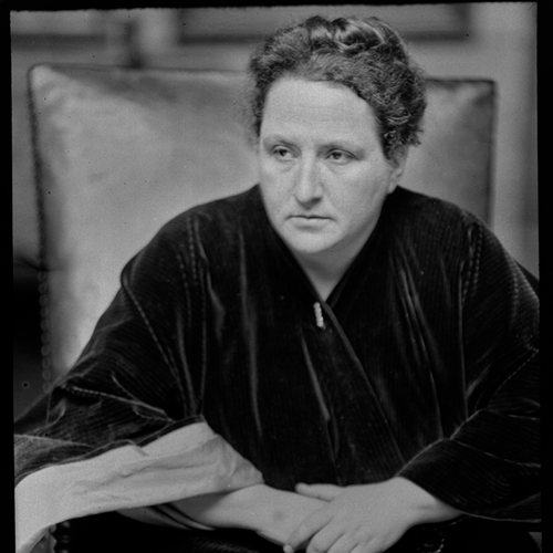 Gertrude Stein Famous Kentucky Colonel